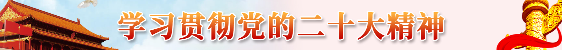 学习贯彻党的二十大精神