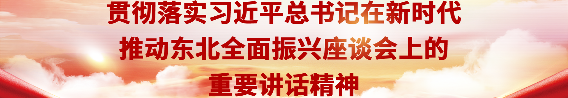 贯彻落实习近平总书记在新时代推动东北全面振兴座谈会上的重要讲话精神