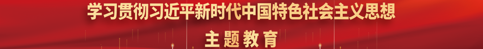 学习贯彻习近平新时代中国特色社会主义思想主题教育